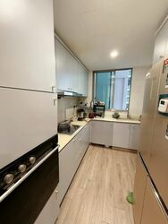 Amaryllis Ville (D11), Condominium #569500101